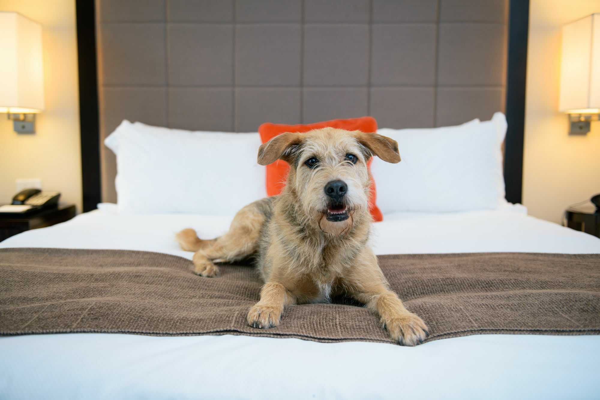 Candlewood Suites - Bluffton-Hilton Head By Ihg Luaran gambar